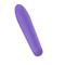 Vibrating Bullet Purple