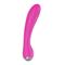 Vibrator Pink