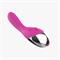 Vibrator Pink