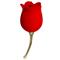 Rose Lover Licking Stimulator USB Clave 33