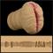 Aliens Pie Masturbator #2