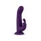 Whirl-Pulse Rotating Rabbit Vibrator & Remote Cont