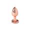 Rainbow Metal Butt Plug Small Size