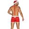 BAJA_DISC*Mr Claus Sexy Christmas Costume For Men