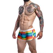 C4M06 Athletic Trunk Arcoiri Rainbow