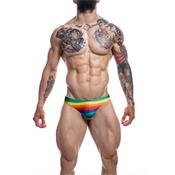 C4M01 Low Rise Bikini Brief Rainbow