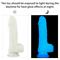 Lumino Play Silicone Dildo 7.5"