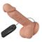 8.1" Realistic Dildo with Strong Suction Cup Cl.30