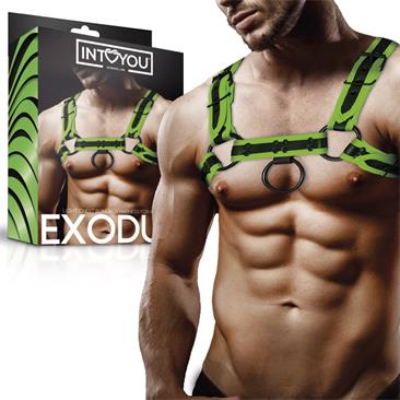 Light Chest Bondage Harness for Men Shining Line