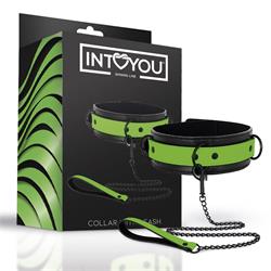 Collar with Leash Shining Line