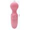 Mini Stick Little Cute Pink USB Clave 12