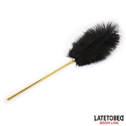 Ostrich Feather Tickler