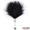 Feather Tickler with Acrylic Metal Wand