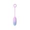 Double Layer Silicone Egg with APP Pink & Blue