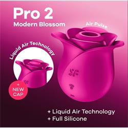 Pro 2 Modern Blossom