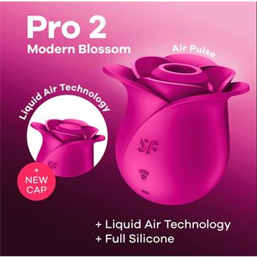 Pro 2 Modern Blossom