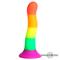 Rainbow Colour Silicone Dildo