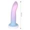 Gradient Colour Dildo Silicone