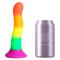 Rainbow Colour Silicone Dildo