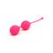 Kegel Balls Brussels Pink