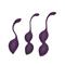 Kegel Balls Training Set Geneva Purple