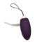 Egg Vibrator with Remote Control Venice Purple