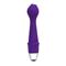 Flower Power Vibrator Madeira Purple