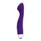 Semi-Realistic Vibrator Palma Purple