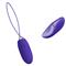 Jenny Youth Egg Vibrator with Remote Clave 96