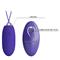 Jenny Youth Egg Vibrator with Remote Clave 96