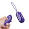 Arvin Youth Egg Vibrator with Remote Clave 96