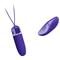 Darlene Youth Egg Vibrator with Remote Clave 96