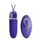 Darlene Youth Egg Vibrator with Remote Clave 96