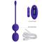 Willie Youth Vibrating Kegel Balls w/Remote Cl.96