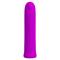 Curtis Bullet Vibrator Violet USB Silicone Cl. 125