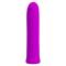 Curtis Bullet Vibrator Violet USB Silicone Cl. 125