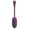 Casper Vibrating Egg App control Cl38