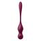 Love Birds Vary Connect App Wine Red Cl32