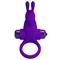 Vibrating Rabbit Cock Ring Purple cl80