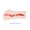 Mavis Vagina Masturbator Fresh Surface Flesh cl35