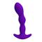 Butt Plug with Vibration Yale Purple Cl50