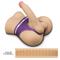 Streetgirls #15 with Bendable Dildo Clave 3