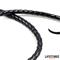 Shiny PVC Long Whip
