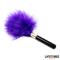 Gold Metal Feather Tickler