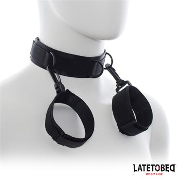 Nylon collar with Wrist Restraints