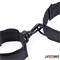 Nylon collar with Wrist Restraints
