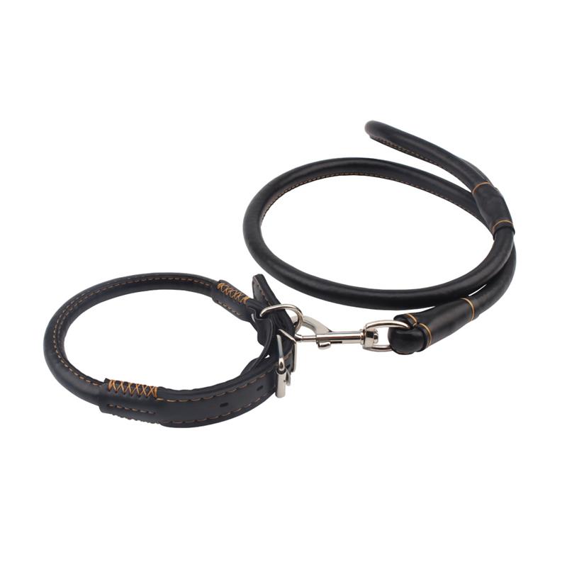 leash Slave collar