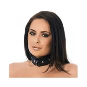 Leather Collar  with Studs and D-Ring