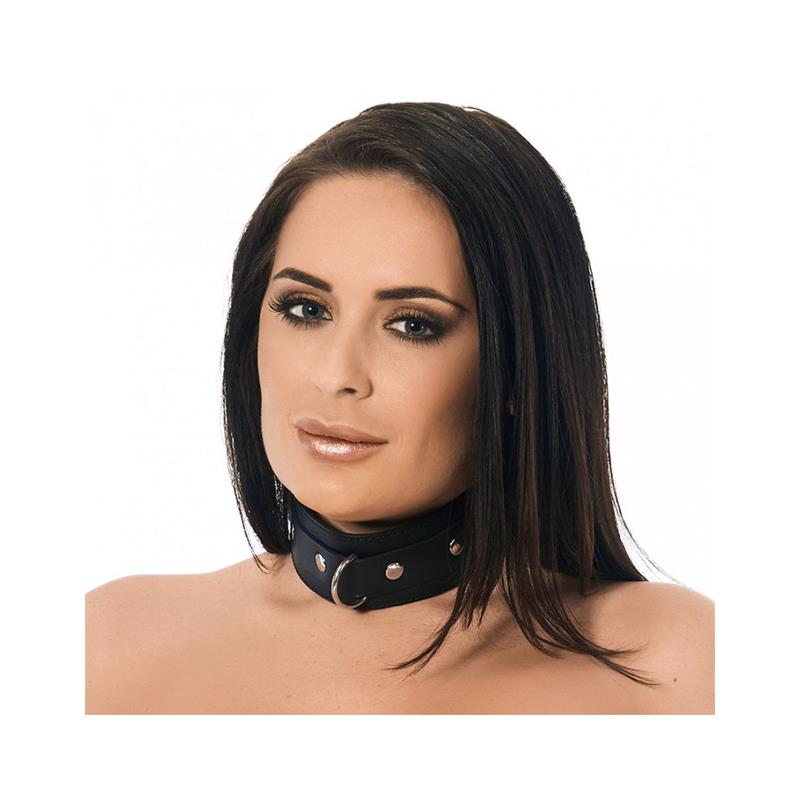 Leather Collar  with Studs and D-Ring