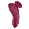 Sexy Secret Panty Vibrator Wine Red Clave 60